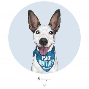 Retrato detallado mascota